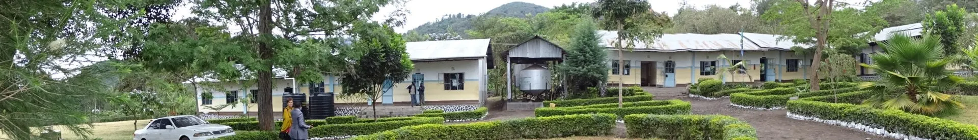 asante sana e.V.